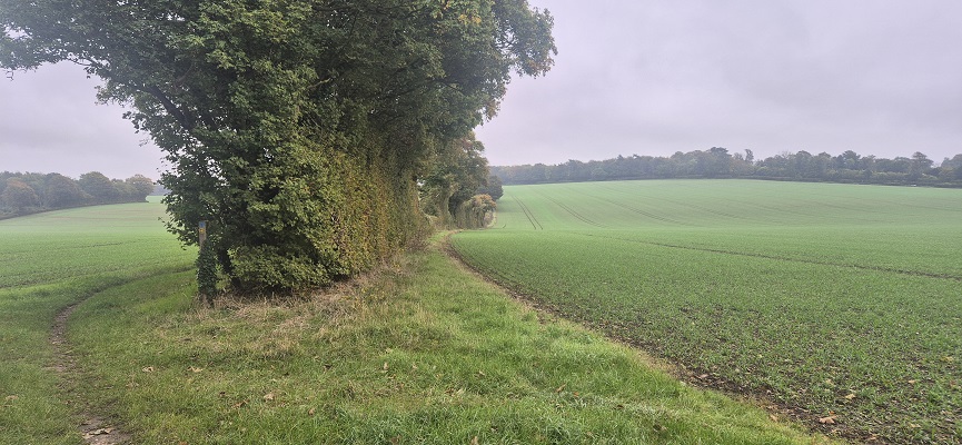 Wandeling over North Downs Way in Kent van Canterbury naar Shepherdswell