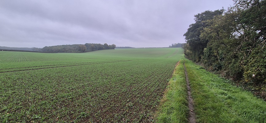 Wandeling over North Downs Way in Kent van Canterbury naar Shepherdswell