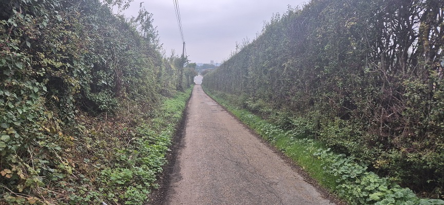 Wandeling over North Downs Way in Kent van Canterbury naar Shepherdswell