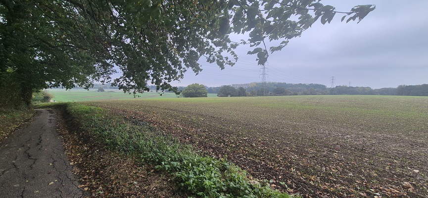 Wandeling over North Downs Way in Kent van Canterbury naar Shepherdswell