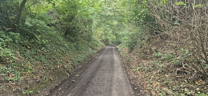 Wandeling over North Downs Way in Kent van Canterbury naar Shepherdswell