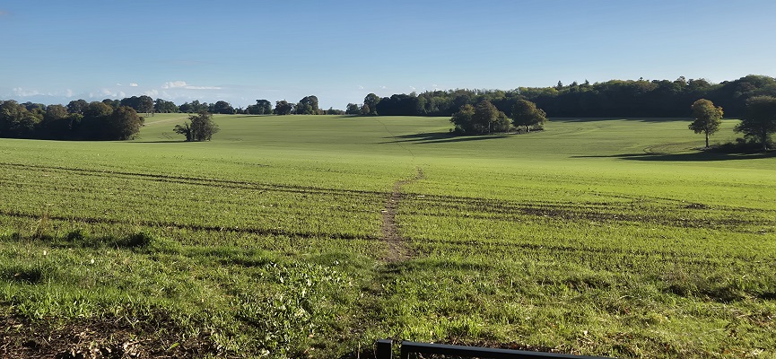 Wandeling in Kent over North Downs Way van Shepherdswell naar Dover