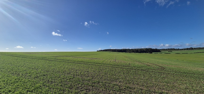 Wandeling in Kent over North Downs Way van Shepherdswell naar Dover