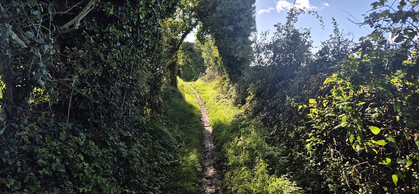 north-downs-way-shepherdswell-dover-25 Wandeling in Kent over North Downs Way van Shepherdswell naar Dover