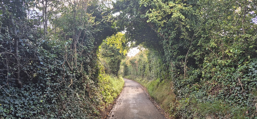 north-downs-way-shepherdswell-dover-28 Wandeling in Kent over North Downs Way van Shepherdswell naar Dover