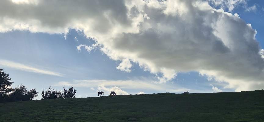 Wandeling in Kent over North Downs Way van Shepherdswell naar Dover