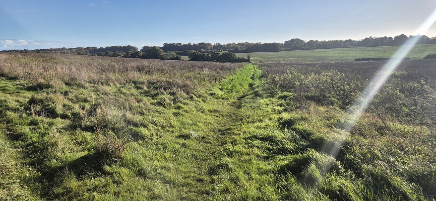north-downs-way-shepherdswell-dover-7 Wandeling in Kent over North Downs Way van Shepherdswell naar Dover
