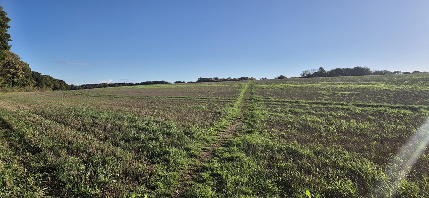 Wandeling in Kent over North Downs Way van Shepherdswell naar Dover