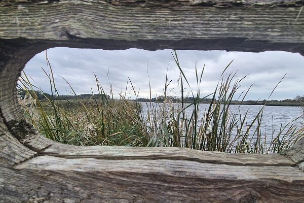Wandeling over Trage Tocht Het Twiske