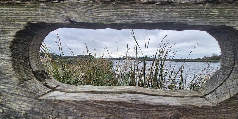 Wandeling over Trage Tocht Het Twiske