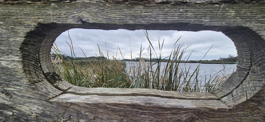 Wandeling over Trage Tocht Het Twiske