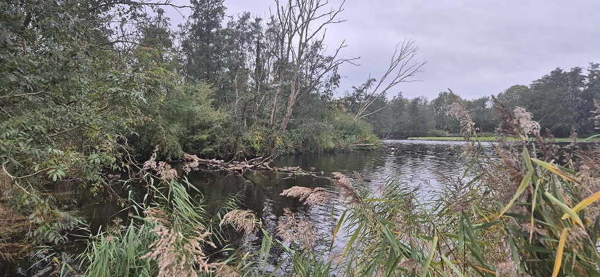Wandeling over Trage Tocht Het Twiske