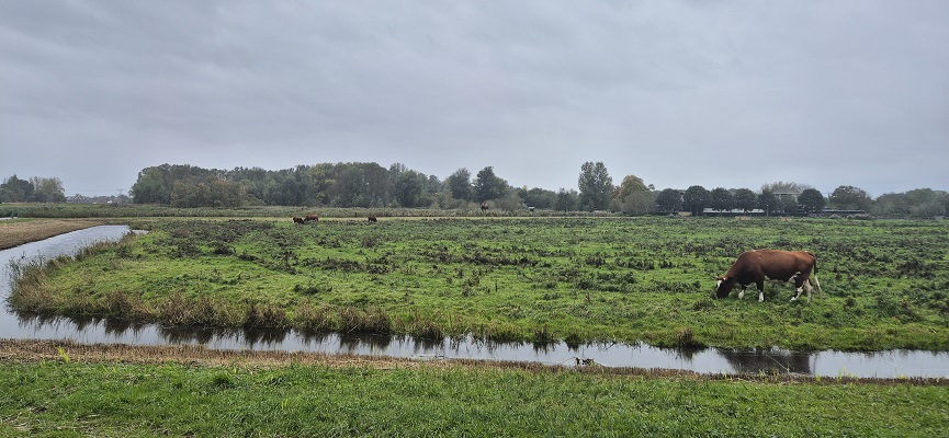 trage-tocht-het-twiske-15 Wandeling over Trage Tocht Het Twiske