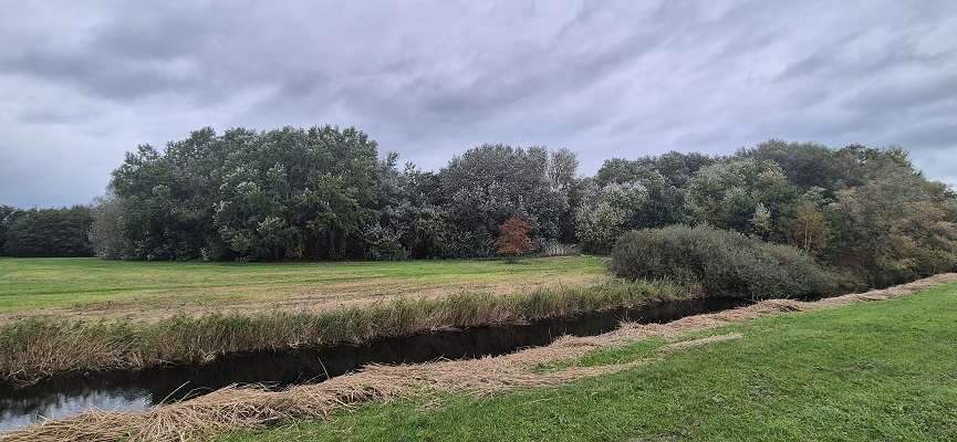 trage-tocht-het-twiske-17 Wandeling over Trage Tocht Het Twiske