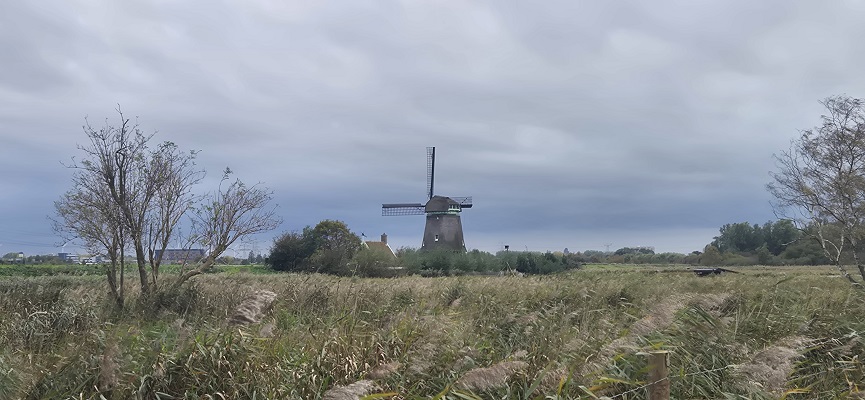 Wandeling over Trage Tocht Het Twiske