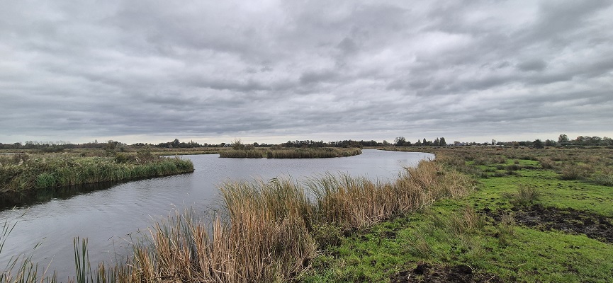 trage-tocht-het-twiske-20 Wandeling over Trage Tocht Het Twiske