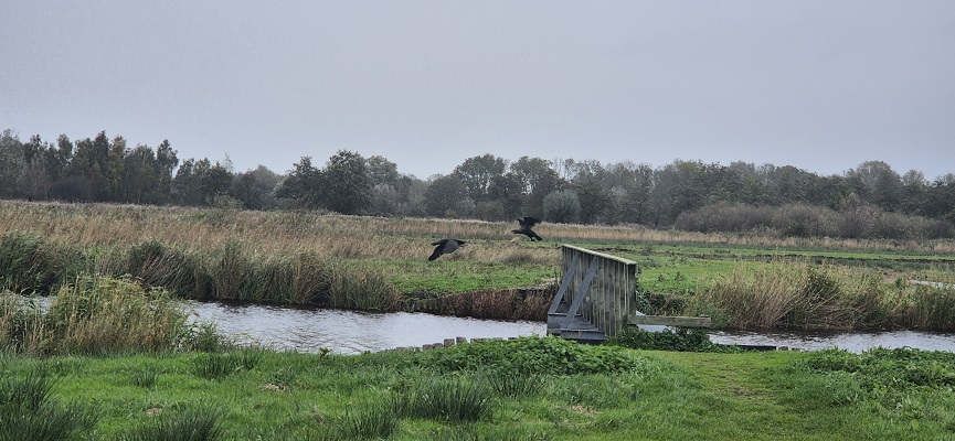 trage-tocht-het-twiske-21 Wandeling over Trage Tocht Het Twiske
