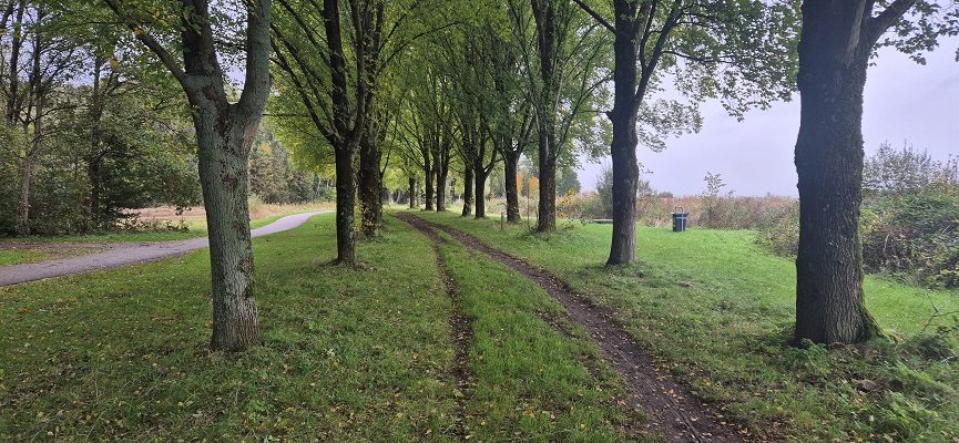 Wandeling over Trage Tocht Het Twiske