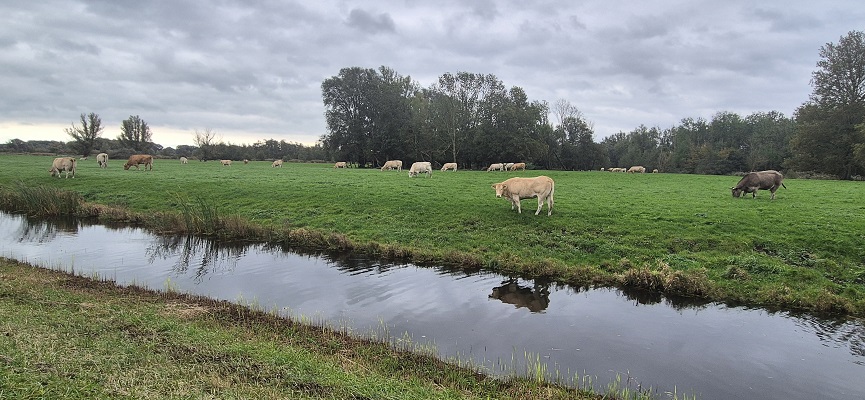 trage-tocht-het-twiske-3 Wandeling over Trage Tocht Het Twiske