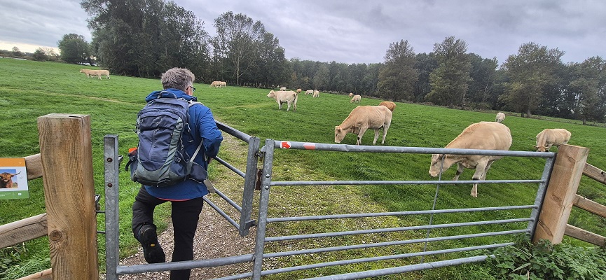 trage-tocht-het-twiske-4 Wandeling over Trage Tocht Het Twiske