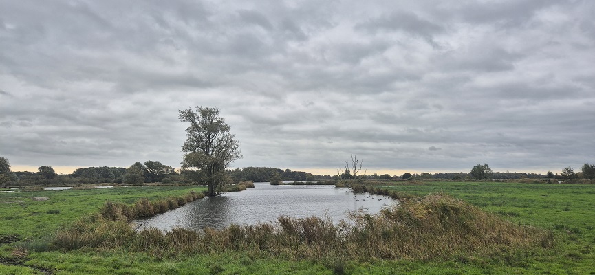 trage-tocht-het-twiske-6 Wandeling over Trage Tocht Het Twiske