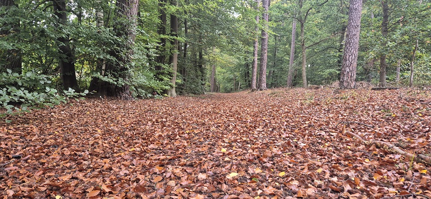 Wandeling over Trage Tocht Joppe-Gorssel