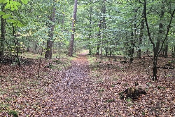 Wandeling over Trage Tocht Joppe-Gorssel