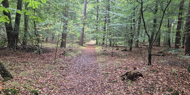 Wandeling over Trage Tocht Joppe-Gorssel