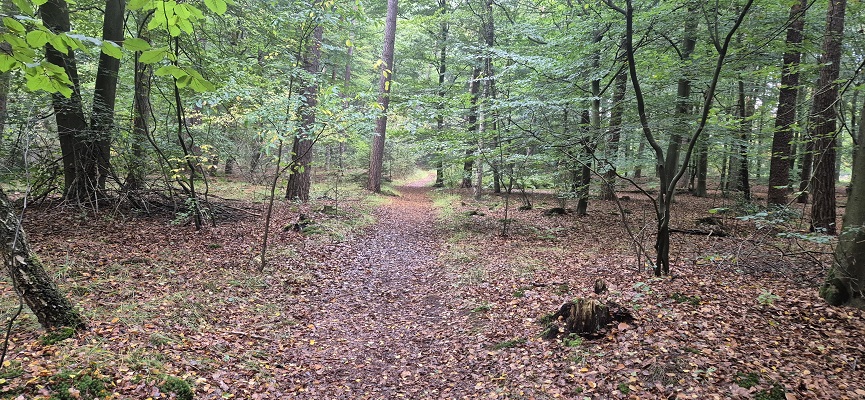 Wandeling over Trage Tocht Joppe-Gorssel