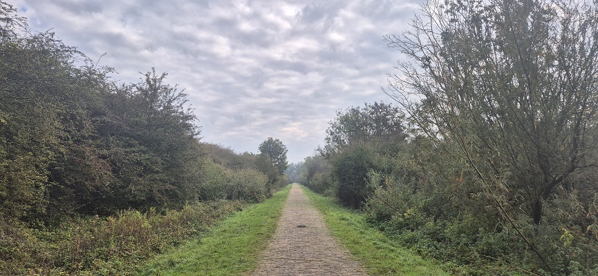 Wandeling Trage Tocht Nijmegen-Beek door de Ooypolder en langs de Bisonbaai en Waal