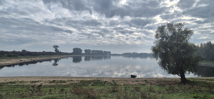 Wandeling Trage Tocht Nijmegen-Beek door de Ooypolder en langs de Bisonbaai en Waal