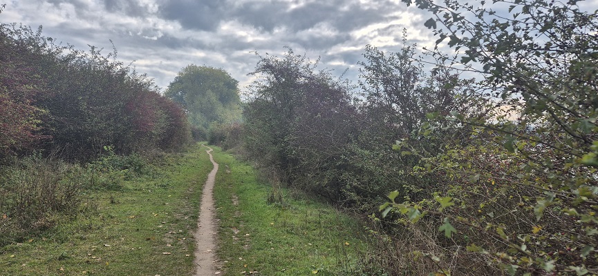 Wandeling Trage Tocht Nijmegen-Beek door de Ooypolder en langs de Bisonbaai en Waal