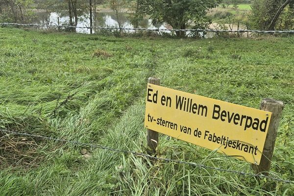 Wandeling Trage Tocht Nijmegen-Beek door de Ooypolder en langs de Bisonbaai en Waal