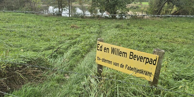Wandeling Trage Tocht Nijmegen-Beek door de Ooypolder en langs de Bisonbaai en Waal