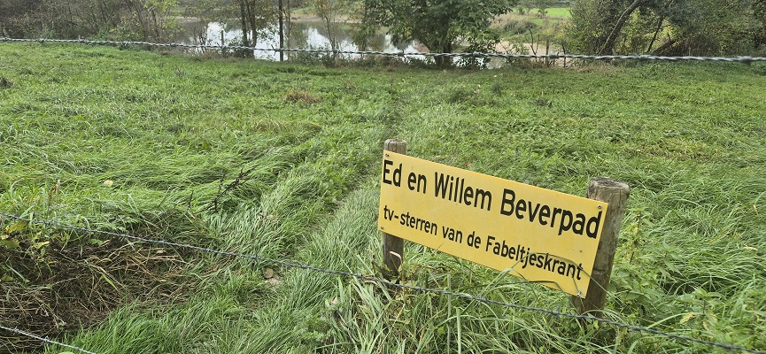 Wandeling Trage Tocht Nijmegen-Beek door de Ooypolder en langs de Bisonbaai en Waal