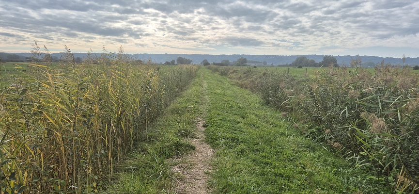 Wandeling Trage Tocht Nijmegen-Beek door de Ooypolder en langs de Bisonbaai en Waal