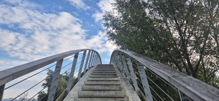 Wandeling Trage Tocht Nijmegen-Beek door de Ooypolder en langs de Bisonbaai en Waal