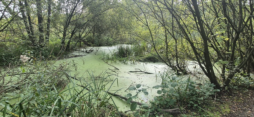 Wandeling Trage Tocht Nijmegen-Beek door de Ooypolder en langs de Bisonbaai en Waal