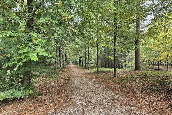 Wandeling over Trage Tocht Overberg