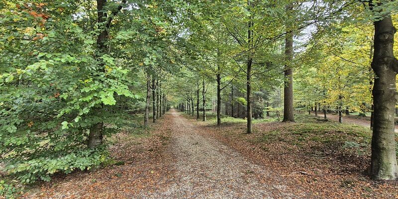 Wandeling over Trage Tocht Overberg