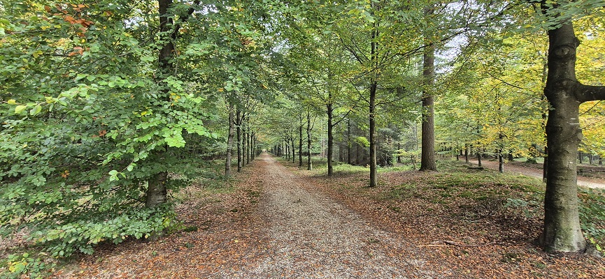 Wandeling over Trage Tocht Overberg