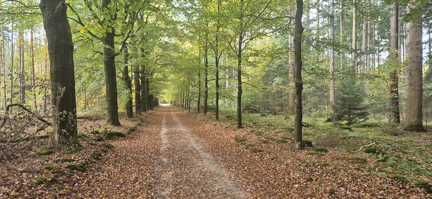 Wandeling over Trage Tocht Overberg
