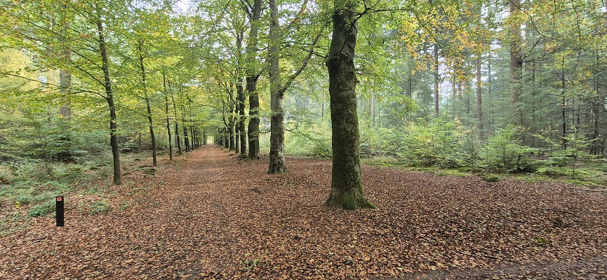 Wandeling over Trage Tocht Overberg