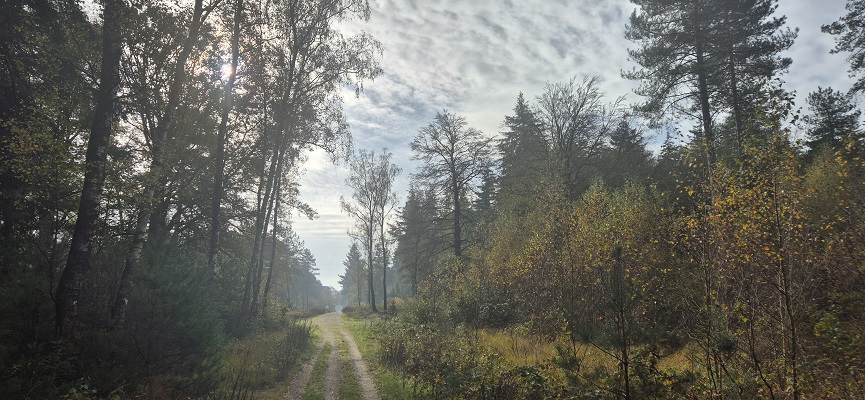 Wandeling over Trage Tocht Overberg