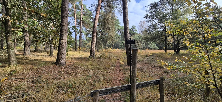Wandeling over Trage Tocht Overberg