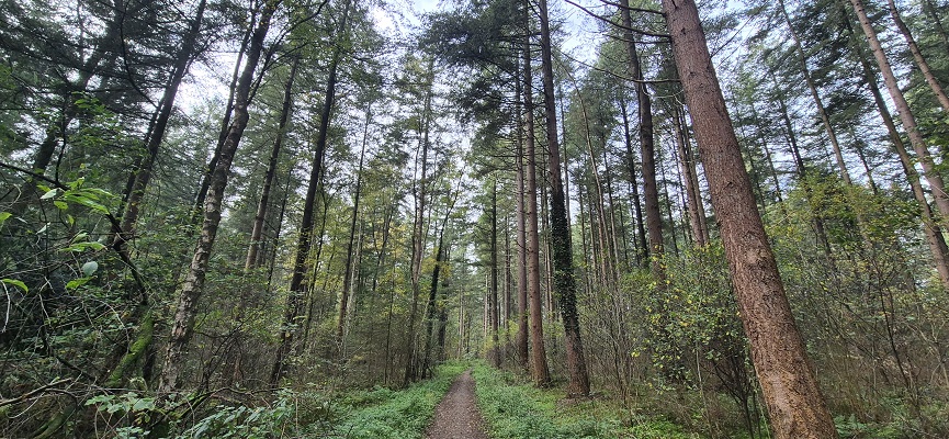 Wandeling over Trage Tocht Overberg