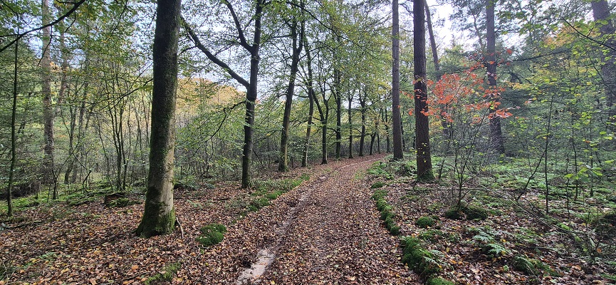 Wandeling over Trage Tocht Overberg