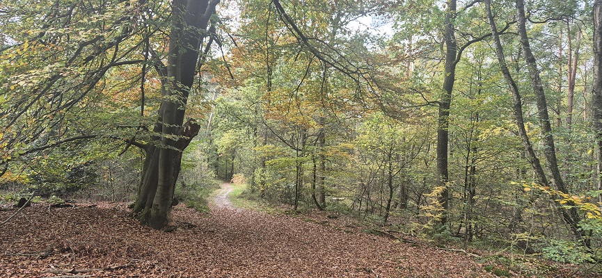 Wandeling over Trage Tocht Overberg