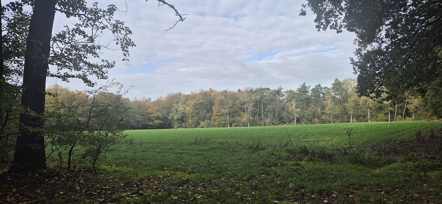 Wandeling over Trage Tocht Overberg
