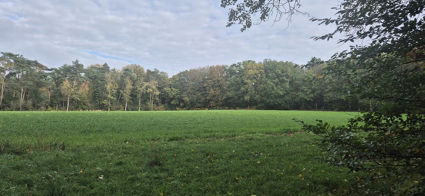 Wandeling over Trage Tocht Overberg